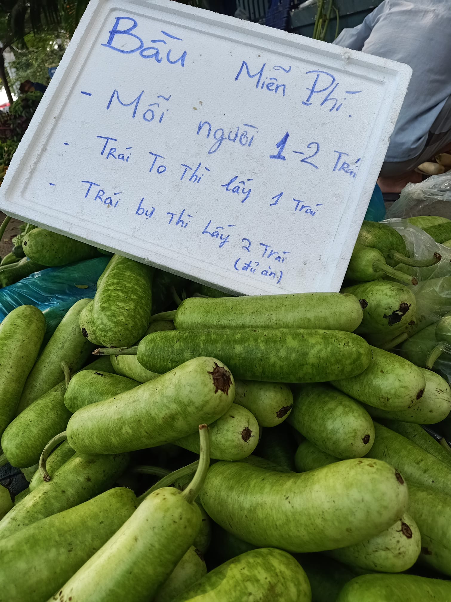 Anh b&aacute;n rau Minh R&acirc;u chia sẻ b&iacute; quyết trị bệnh ch&aacute;n đời - Ảnh 3.