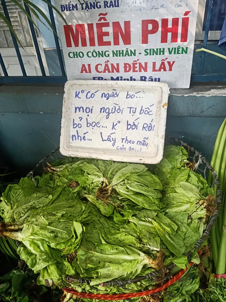 Anh b&aacute;n rau Minh R&acirc;u chia sẻ b&iacute; quyết trị bệnh ch&aacute;n đời - Ảnh 2.
