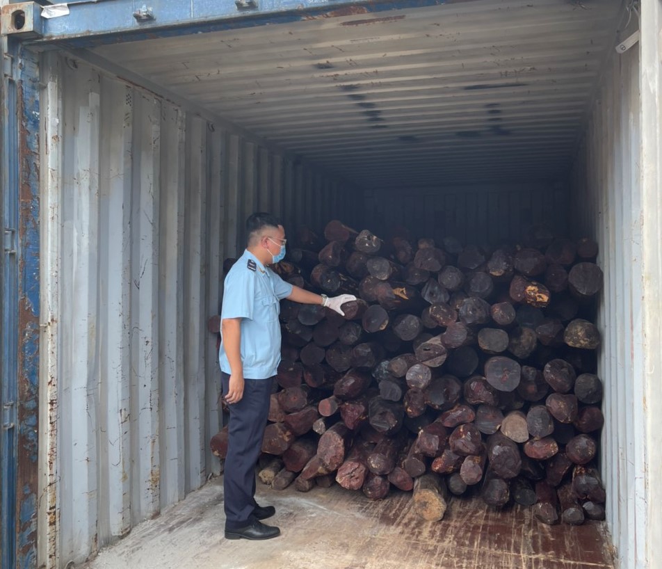 Khởi tố vụ bu&ocirc;n lậu gỗ gi&aacute;ng hương từ Ấn Độ về cảng Đ&igrave;nh Vũ - Ảnh 2.