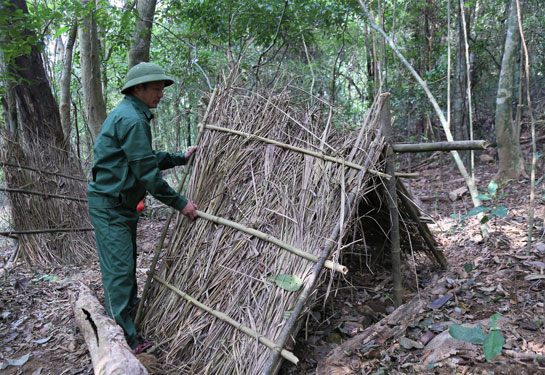 Đưa sâm Ngọc Linh về đỉnh Sa Mù - Ảnh 2.
