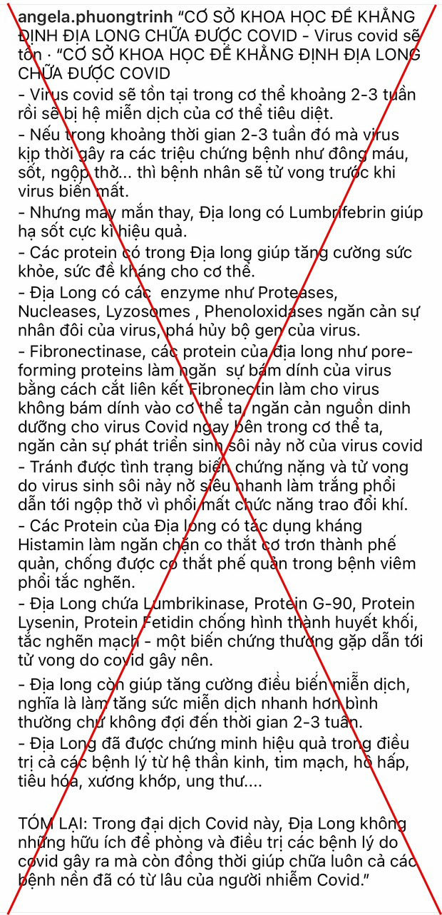 Angela Phương Trinh bị chỉ trích vì khẳng định Địa Long chữa được Covid-19 - Ảnh 1.