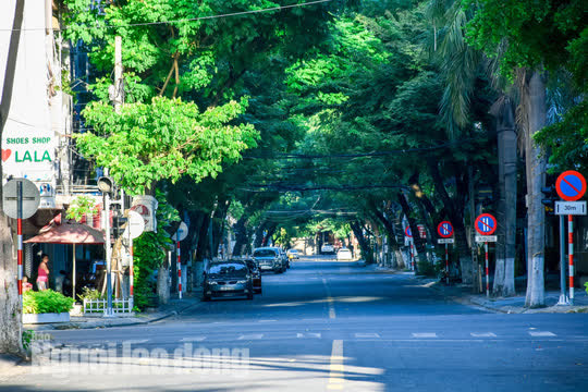 Đà Nẵng bắt đầu thực hiện ai ở đâu thì ở đó, ra ngoài không lý do sẽ bị xử nghiêm - Ảnh 8.