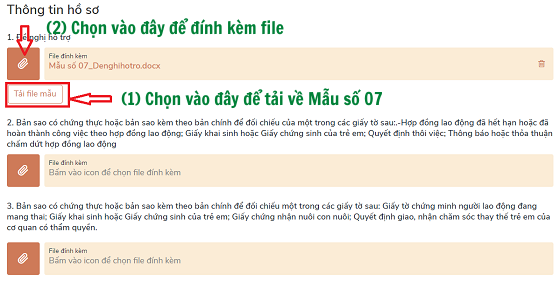 C&aacute;ch nộp hồ sơ online nhận hỗ trợ Covid-19 khi kh&ocirc;ng đủ điều kiện nhận trợ cấp thất nghiệp - Ảnh 4.