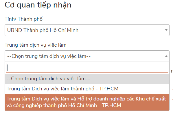 C&aacute;ch nộp hồ sơ online nhận hỗ trợ Covid-19 khi kh&ocirc;ng đủ điều kiện nhận trợ cấp thất nghiệp - Ảnh 5.