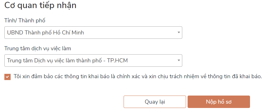 C&aacute;ch nộp hồ sơ online nhận hỗ trợ Covid-19 khi kh&ocirc;ng đủ điều kiện nhận trợ cấp thất nghiệp - Ảnh 6.