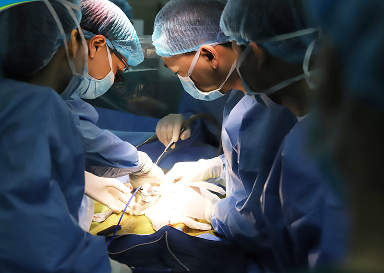Lần đầu ti&ecirc;n Việt Nam gh&eacute;p gan cho một em b&eacute; bị ung thư gan