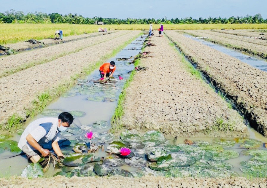 Lan tỏa y&ecirc;u thương ở S&oacute;c Trăng, Tiền Giang - Ảnh 2.