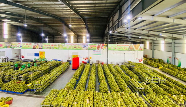 Giúp doanh nghiệp khôi phục sản xuất - kinh doanh (*): Cần sự hỗ trợ thiết thực