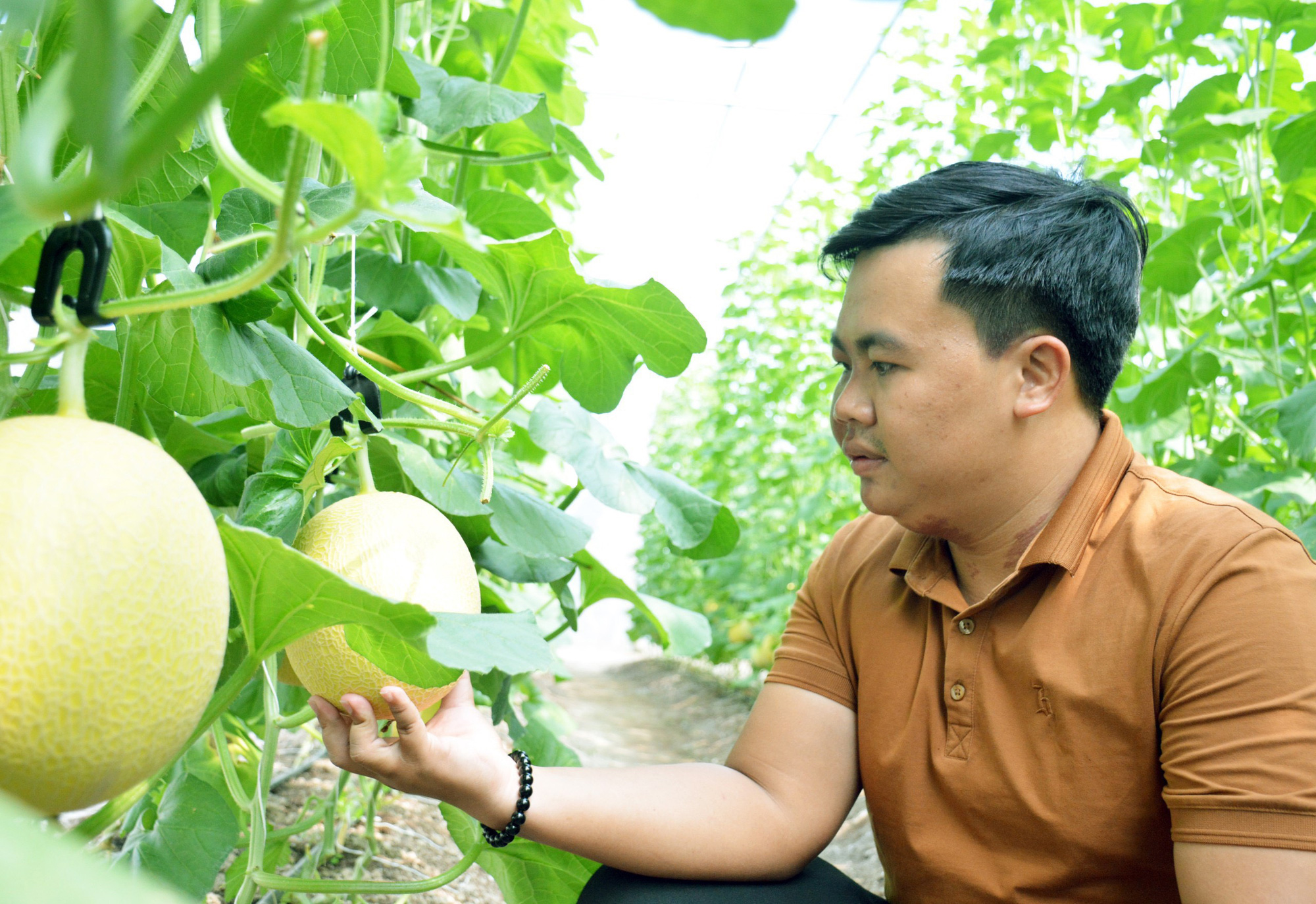 Biến bùn thải thành đất sạch