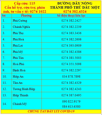 Bình Dương: Người dân có thể gọi trực tiếp cho lãnh đạo phường, xã, thị trấn khi cần hỗ trợ - Ảnh 3.