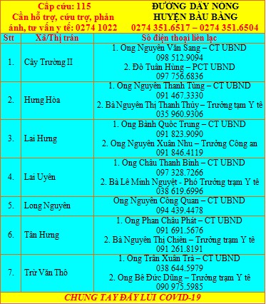 Bình Dương: Người dân có thể gọi trực tiếp cho lãnh đạo phường, xã, thị trấn khi cần hỗ trợ - Ảnh 6.