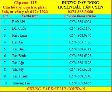 Bình Dương: Người dân có thể gọi trực tiếp cho lãnh đạo phường, xã, thị trấn khi cần hỗ trợ - Ảnh 9.