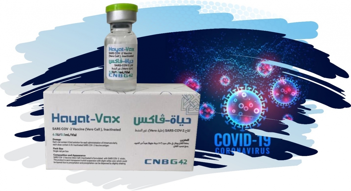 Xem x&eacute;t cấp ph&eacute;p 2 vắc-xin Covid-19 Nano Covax v&agrave; Hayat-Vax - Ảnh 2.