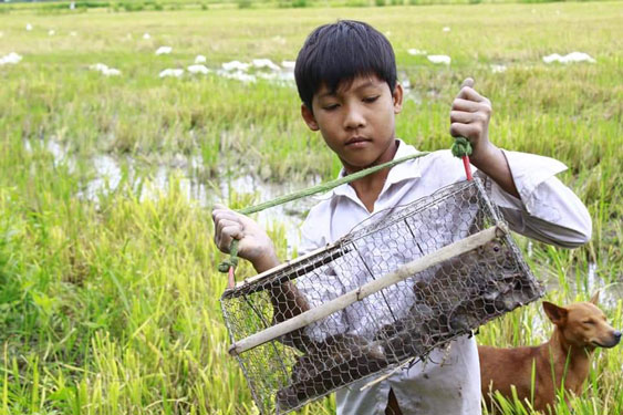 Quá sớm để dự báo hạn, mặn ở miền Tây
