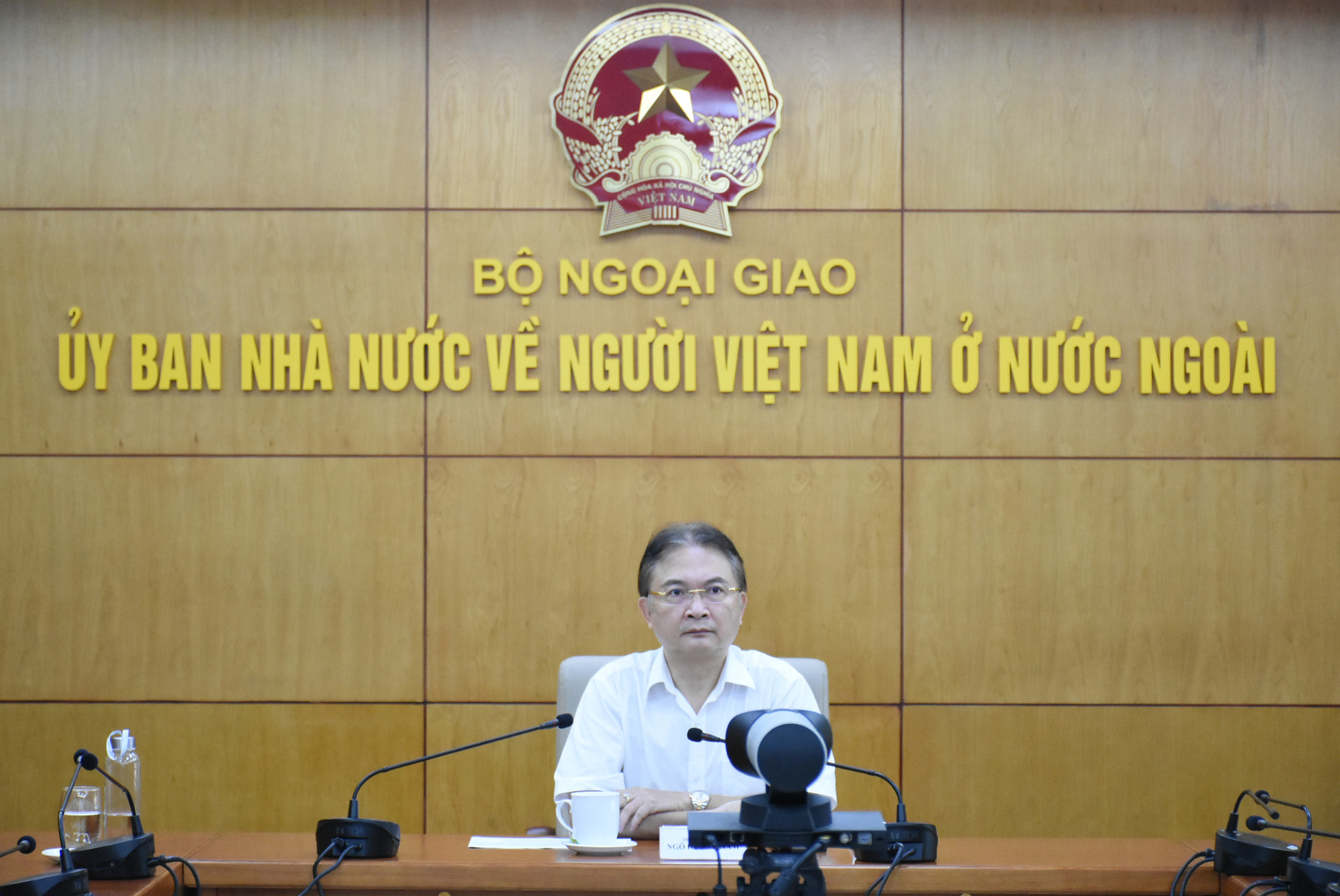 Phó giáo sư, bác sĩ kiều bào Mỹ lập nhóm tư vấn từ xa cho bệnh nhân Covid-19 tại Việt Nam - Ảnh 2.