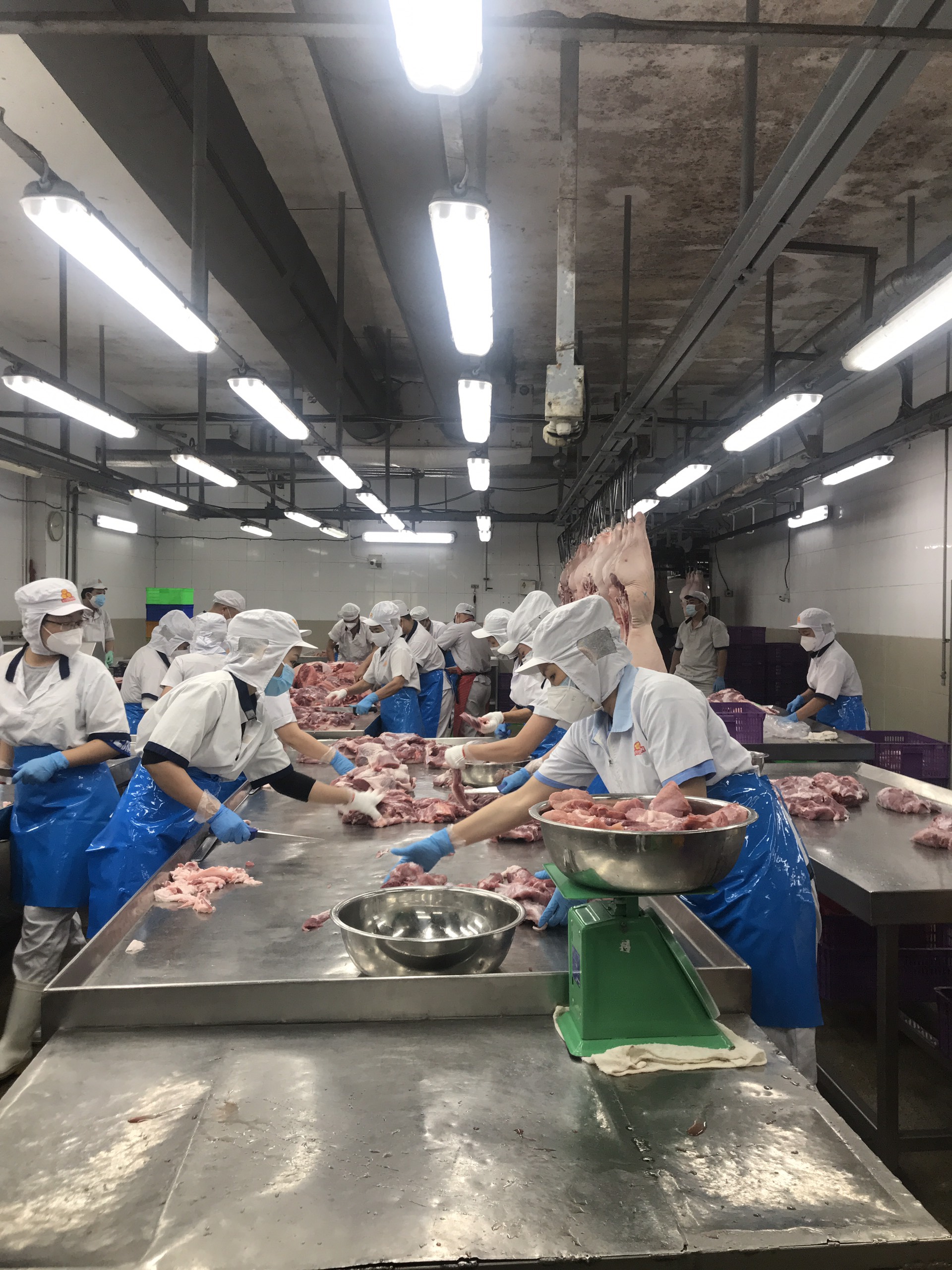 Vissan đã phục hồi 70% công suất giết mổ