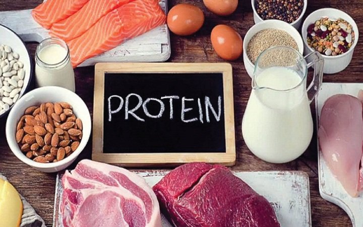 Chỉ ăn chất đạm để giảm cân đúng hay sai? - Ảnh 2.