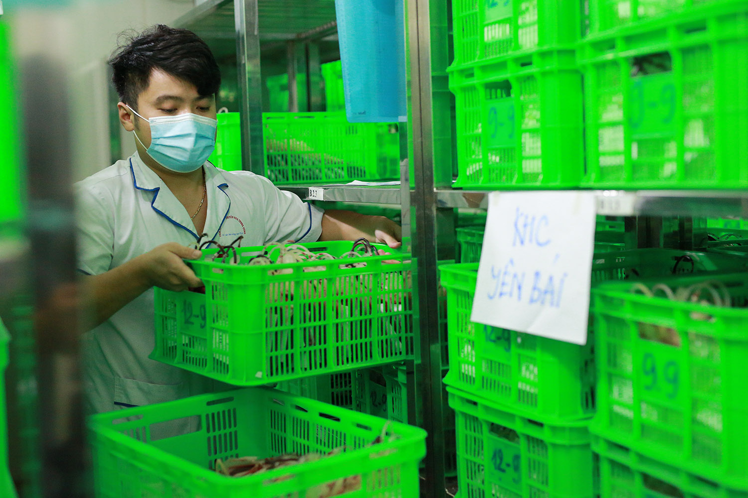 Gần 3.000 đơn vị m&aacute;u l&ecirc;n đường để điều trị cho bệnh nh&acirc;n Covid-19 - Ảnh 6.