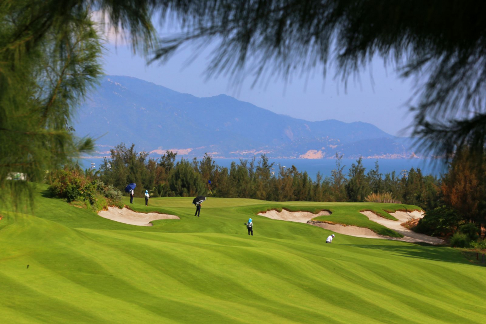 Tạm đình chỉ công tác Cục phó Cục thuế Bình Định chơi golf “lậu” rồi thành F1