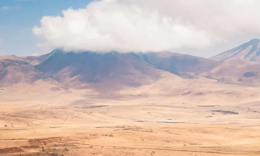 Đi t&igrave;m gia s&uacute;c, 3 học sinh tiểu học Tanzania bị sư tử vồ chết - Ảnh 1.