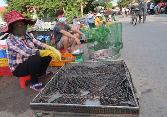 Về làng ở đô thành, quá đã! - Ảnh 2.