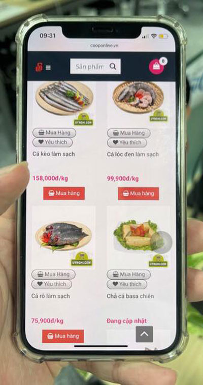 Những si&ecirc;u thị b&aacute;n h&agrave;ng trực tuyến - Ảnh 1.