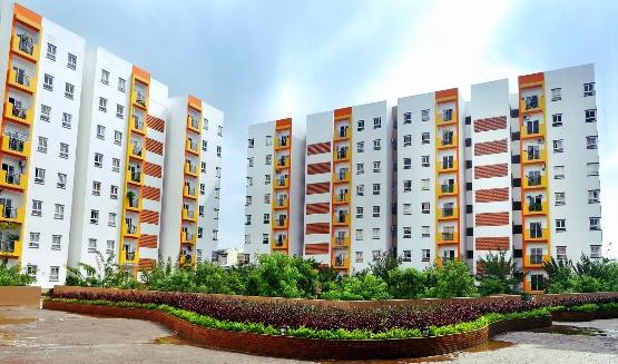 Hành trình 9 năm kiến tạo niềm tin của N.H.O - Ảnh 2.