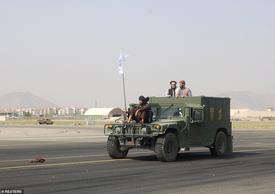Mỹ bỏ rơi chó nghiệp vụ ở lại Afghanistan? - Ảnh 3.