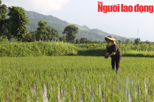 Yêu cầu 3 cán bộ, công chức xã trả lại tiền người dân tự nguyện hỗ trợ - Ảnh 1.