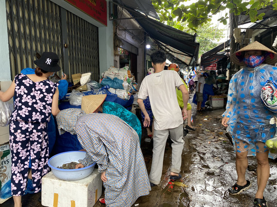 Miền Trung đang mưa tầm tã, ruộng lúa ngã đổ, 1 tàu gặp nạn - Ảnh 6.