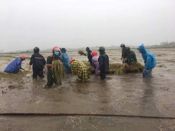 Quảng Ng&atilde;i mưa trắng trời, nhiều nơi ngập nặng, lũ l&ecirc;n nhanh - Ảnh 6.