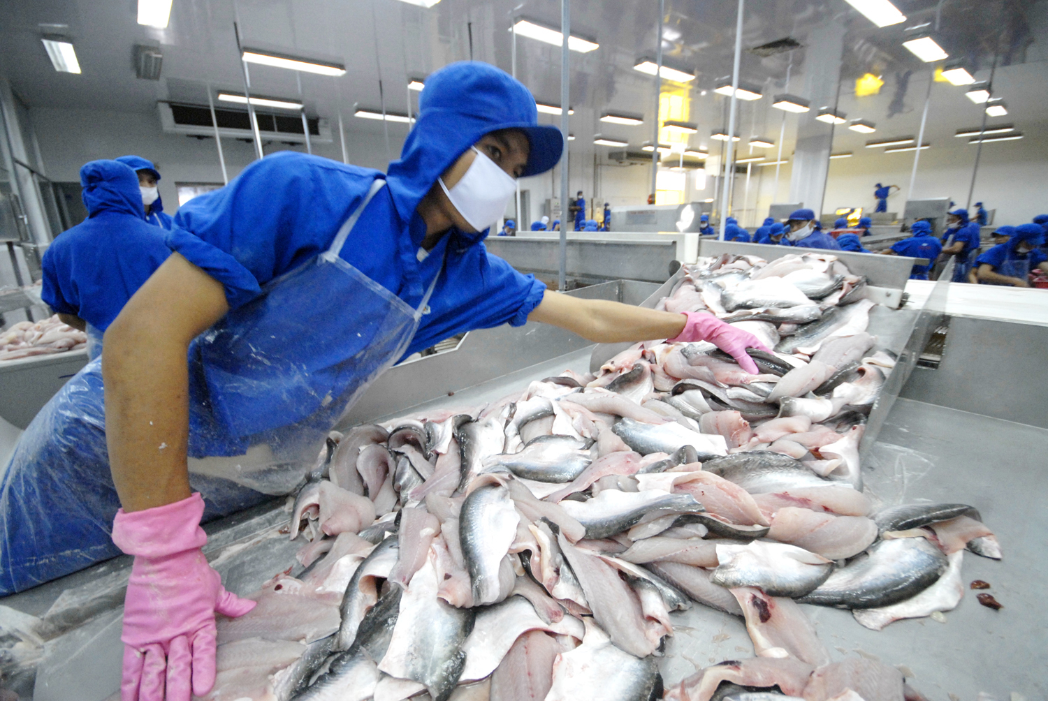 Giải bài toán đầu ra cho nông sản