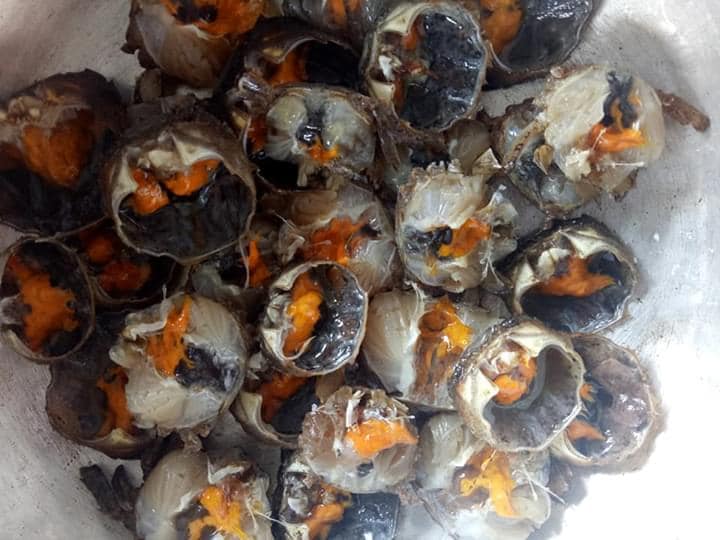 Rạm bè phá Tam Giang - Ảnh 2.