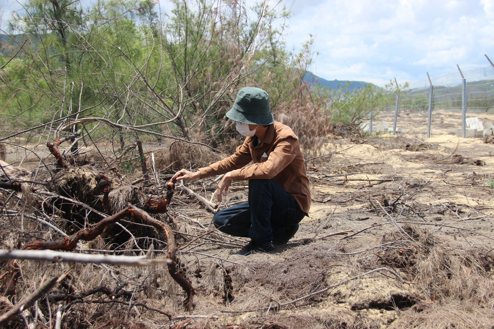 Tình tiết bất ngờ vụ phá “nhầm” 5,26 ha rừng phòng hộ ven biển Bình Định