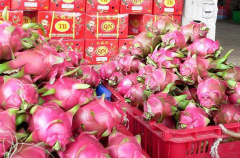 Phát hiện virus SARS-CoV-2 trên bao bì thanh long, Trung Quốc tạm dừng thông quan