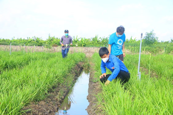 Giúp dân thu hoạch nông sản