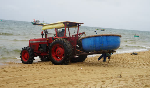 Ngư d&acirc;n B&agrave; Rịa- Vũng T&agrave;u vỡ &ograve;a khi c&aacute;, t&ocirc;m đầy thuyền trong ng&agrave;y đầu mở biển - Ảnh 5.