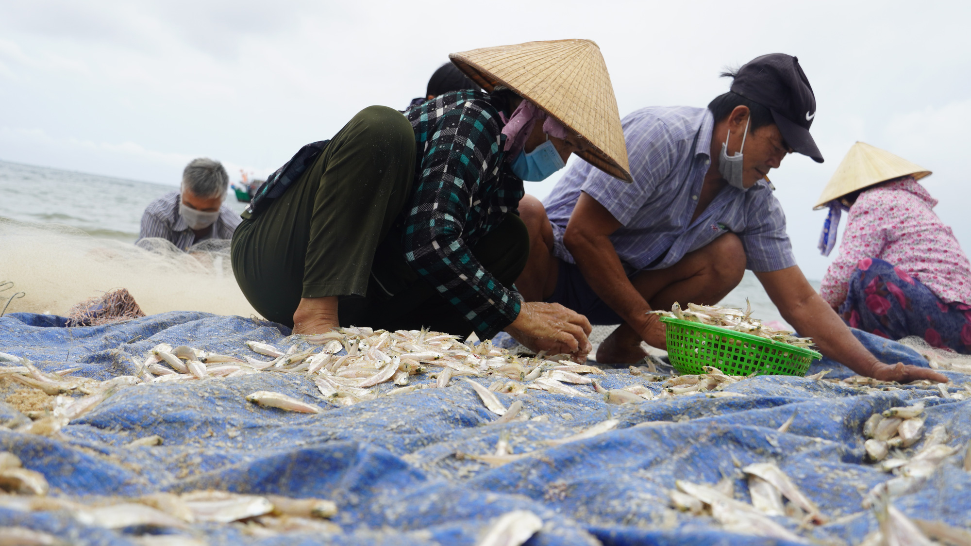 Ngư d&acirc;n B&agrave; Rịa- Vũng T&agrave;u vỡ &ograve;a khi c&aacute;, t&ocirc;m đầy thuyền trong ng&agrave;y đầu mở biển - Ảnh 8.