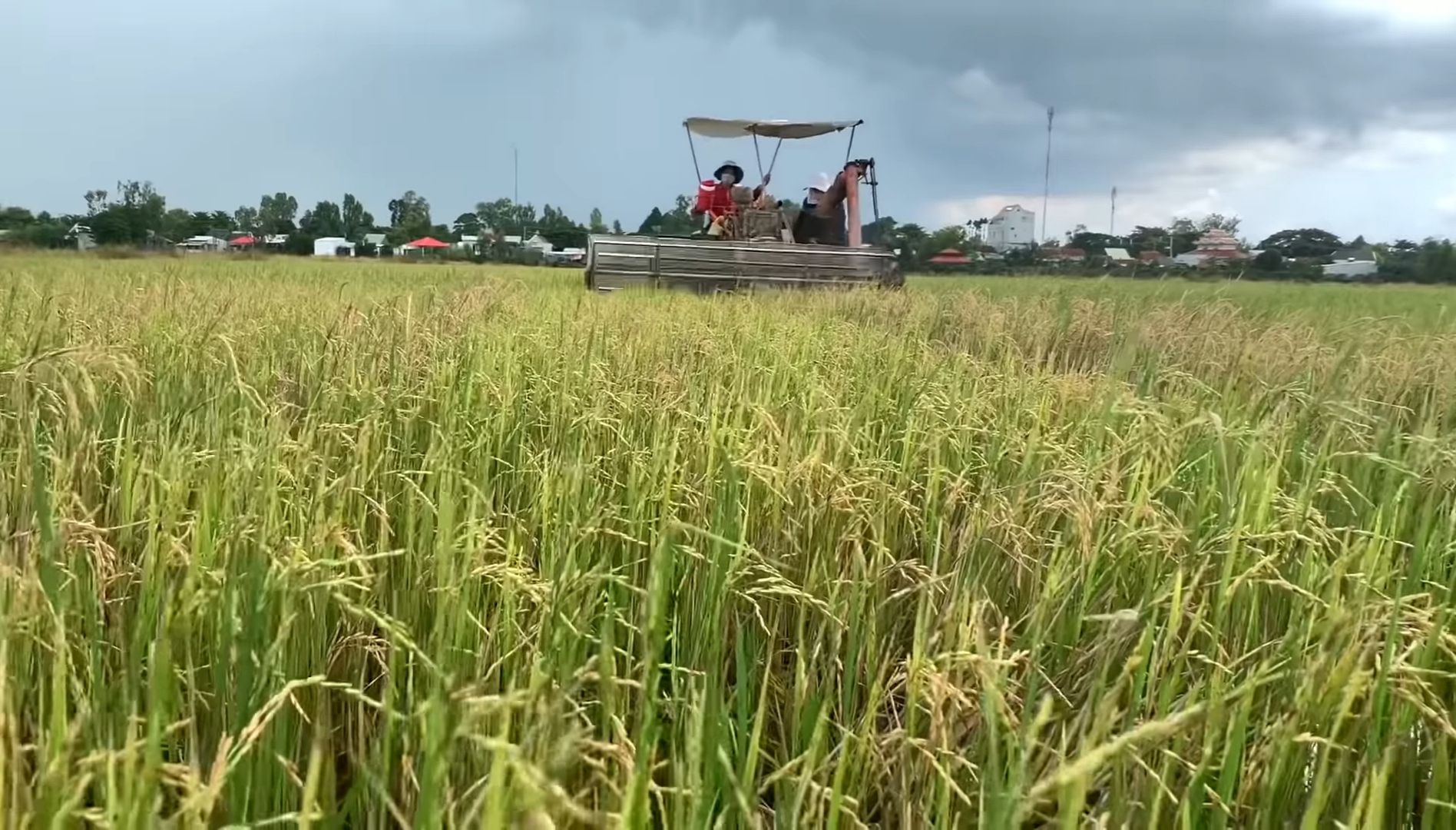 Lũ về muộn, n&ocirc;ng d&acirc;n miền T&acirc;y vẫn sống khỏe từ những việc đơn giản - Ảnh 5.