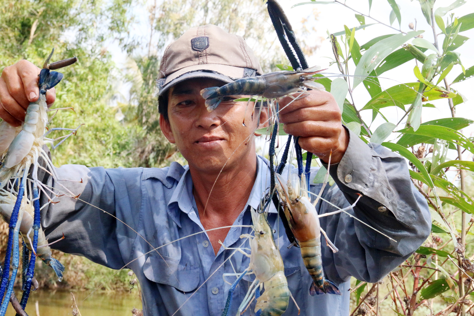 Khơi thông dòng chảy chuỗi cung ứng