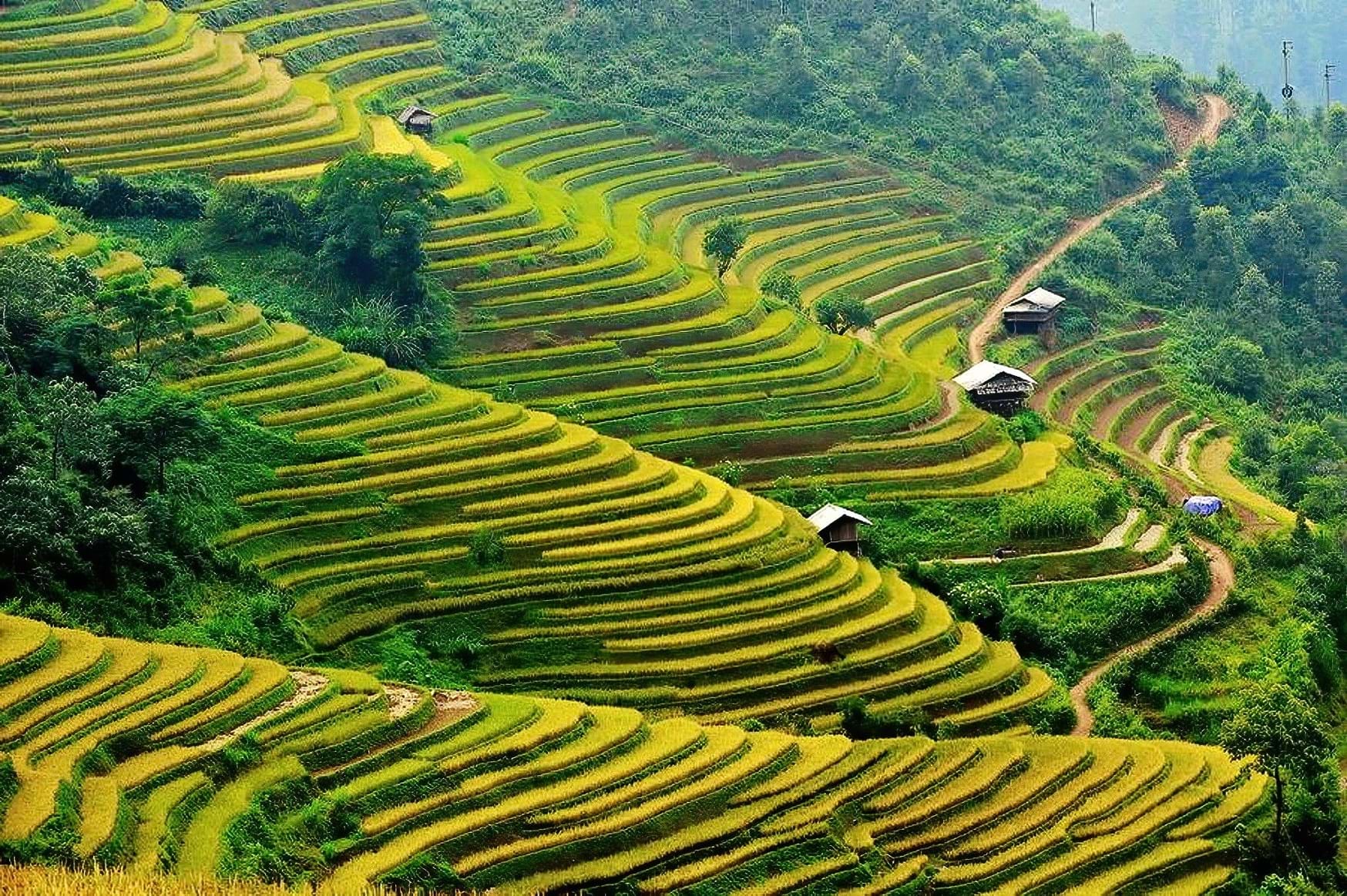 Phở chua vùng cao: càng xuống thấp càng… xa hoa - Ảnh 1.