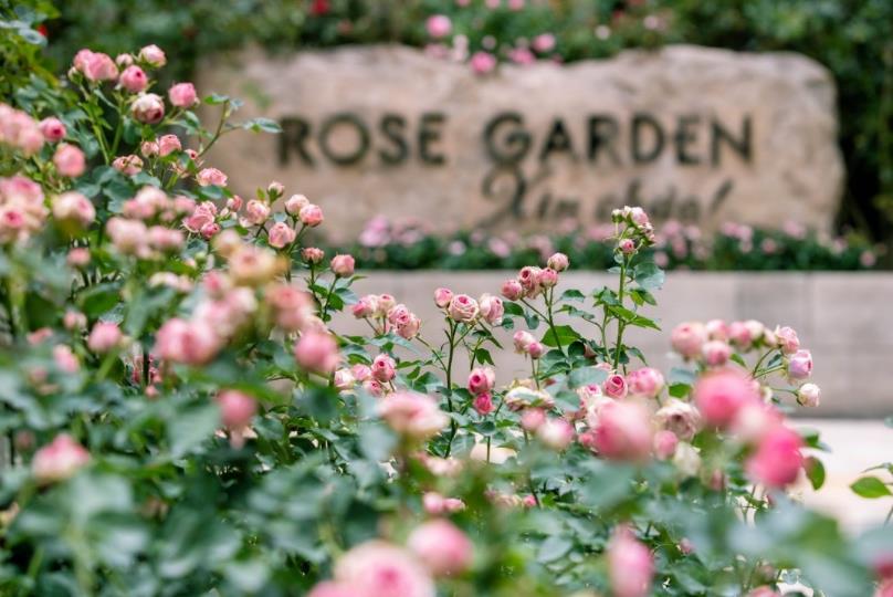 Trải nghiệm nào tại Đà Nẵng khiến du khách nhớ nhất trong những ngày xa cách? - Ảnh 4.
