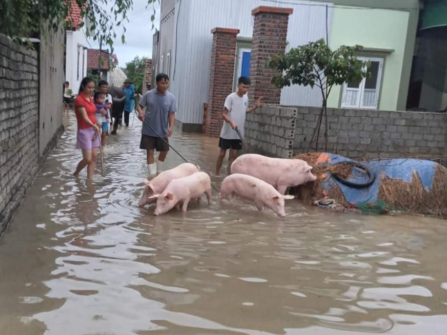 Mưa lũ lớn, hơn 700 ngôi nhà bị ngập, sạt, 1 người bị nước cuốn mất tích - Ảnh 2.