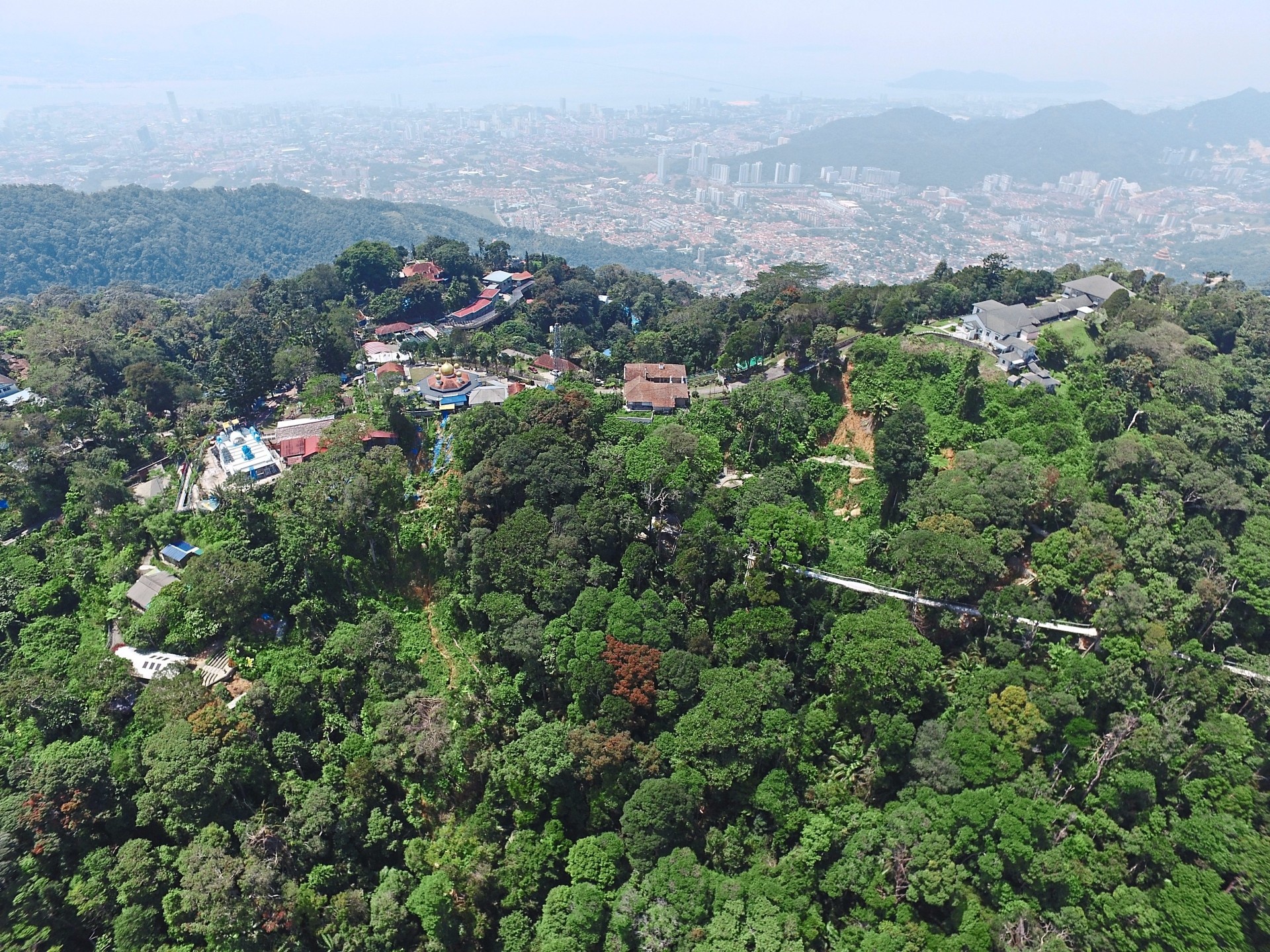 Khu bảo tồn c&oacute; rừng nhiệt đới triệu năm tuổi ở Malaysia - Ảnh 2.