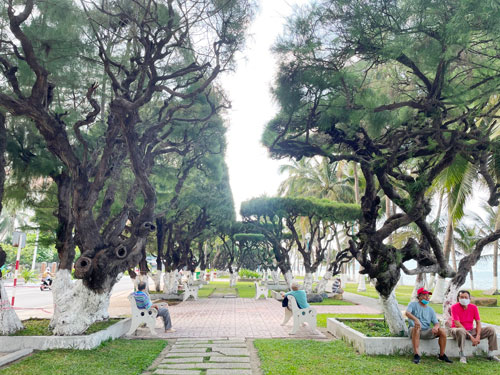 Chuyện h&agrave;ng dương gi&agrave; ở phố biển Nha Trang - Ảnh 1.