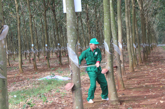 Những sáng kiến hữu ích