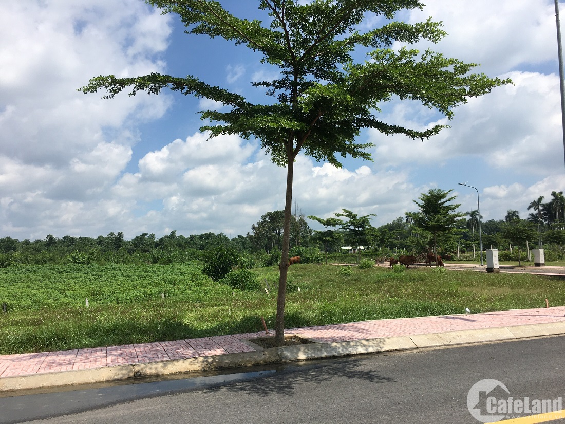 Phân khúc bất động sản nào đáng đầu tư sau dịch? - Ảnh 1.