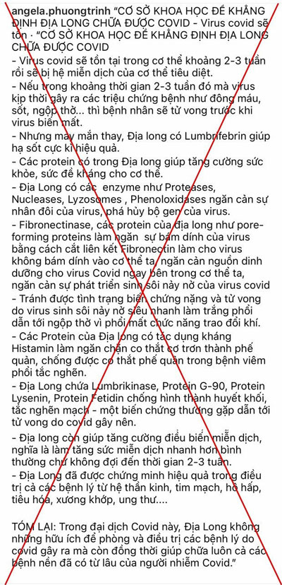 Địa long không có tác dụng điều trị Covid - Ảnh 2.