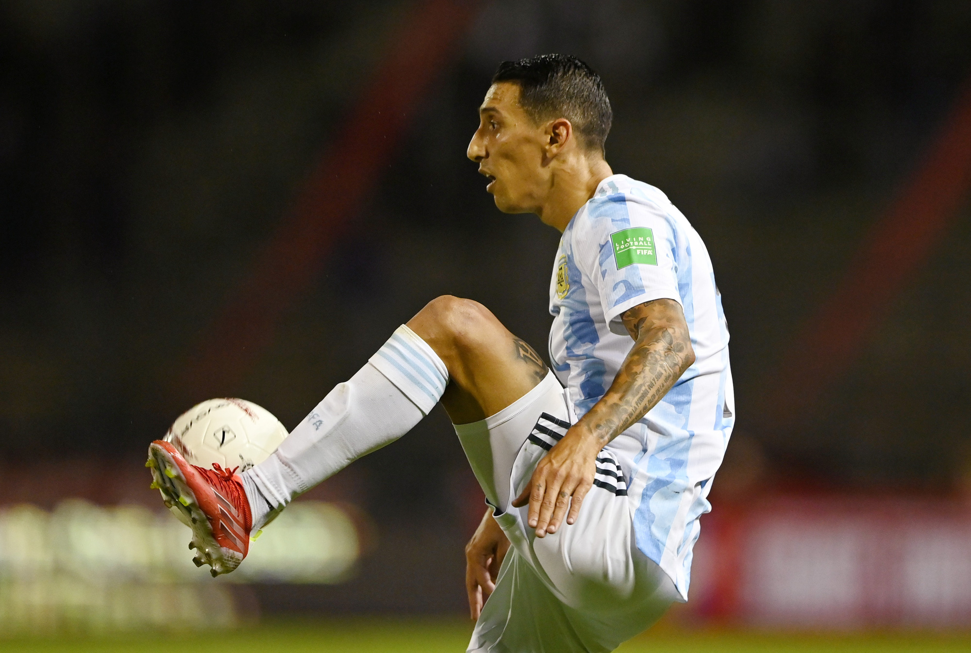 Messi bị triệt hạ, t&acirc;n vương Argentina thắng nh&agrave;n nh&atilde; Venezuela - Ảnh 1.