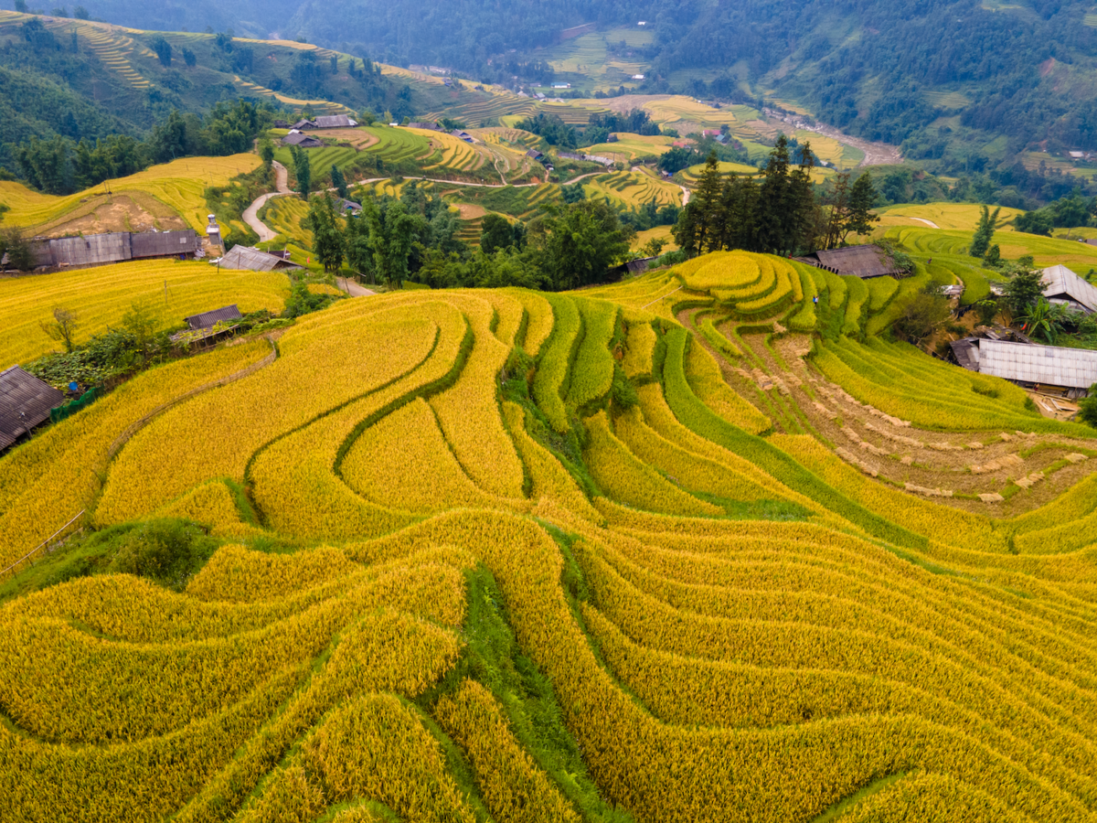 Khoảnh khắc sang thu ở các thành phố du lịch Đà Lạt, Hội An - Ảnh 2.